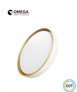 צמוד תקרה דקורטיבי FLY CCT