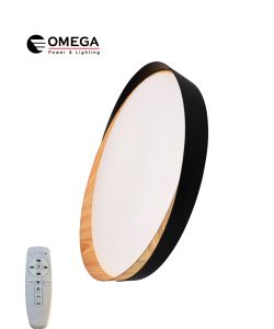 צמוד תקרה דקורטיבי MARIO כולל שלט CCT