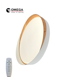 צמוד תקרה דקורטיבי MARIO כולל שלט CCT