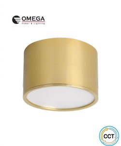 צלינדר דגם MILK