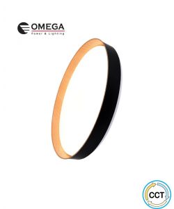 צמוד תקרה דקורטיבי 60W PAULO כפתור CCT