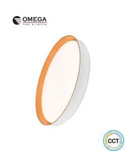 צמוד תקרה דקורטיבי 60W PAULO כפתור CCT