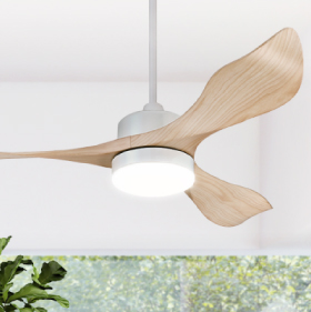 Ceiling Fans